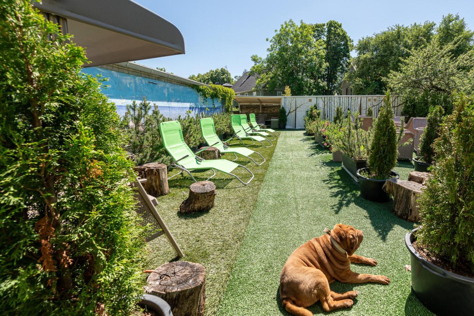 Garden Camping Tallin Exterior foto