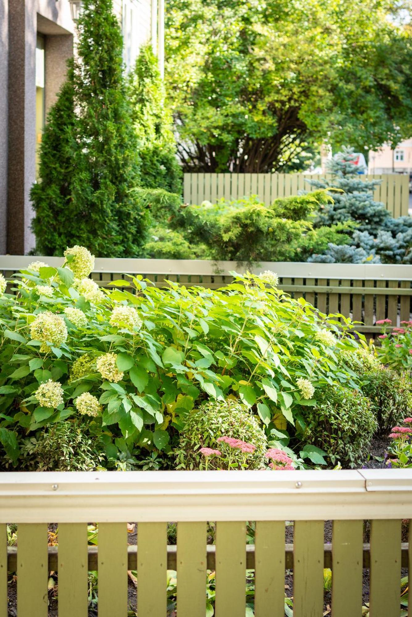 Garden Camping Tallin Exterior foto
